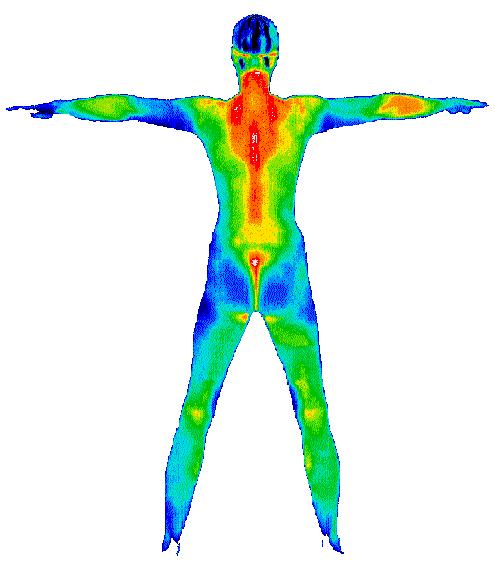 _images/image11.png
